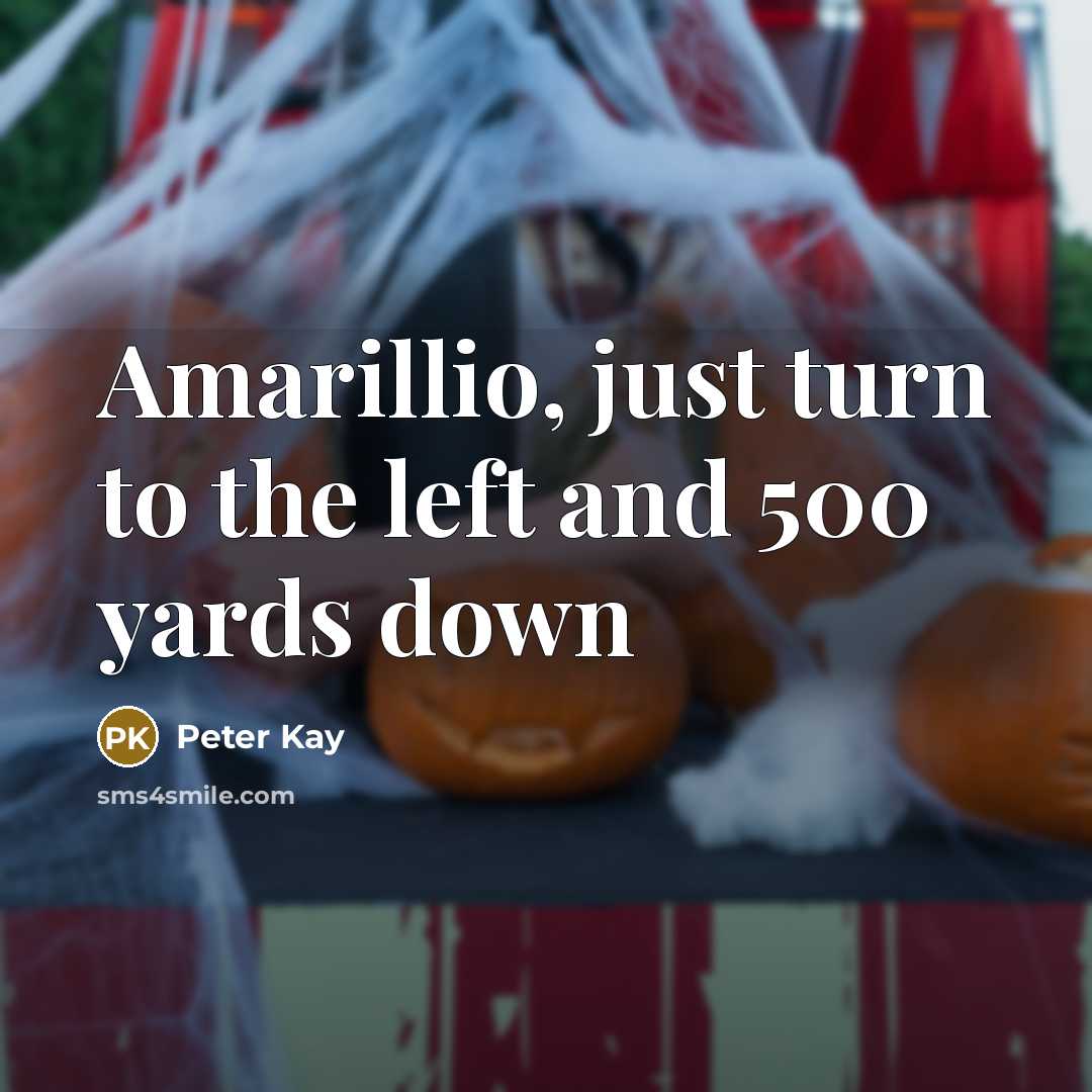 “Amarillio, just turn to the left and 500 yards down…” quote by Peter Kay