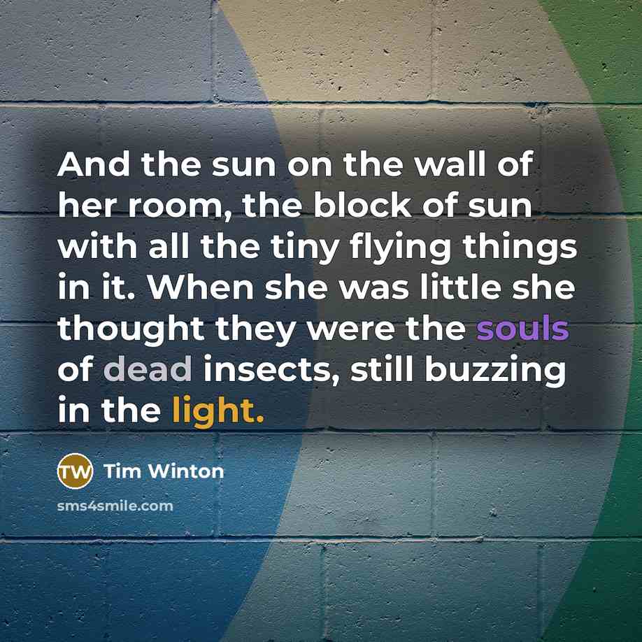 “And the sun on the wall of her room, the…” quote by Tim Winton