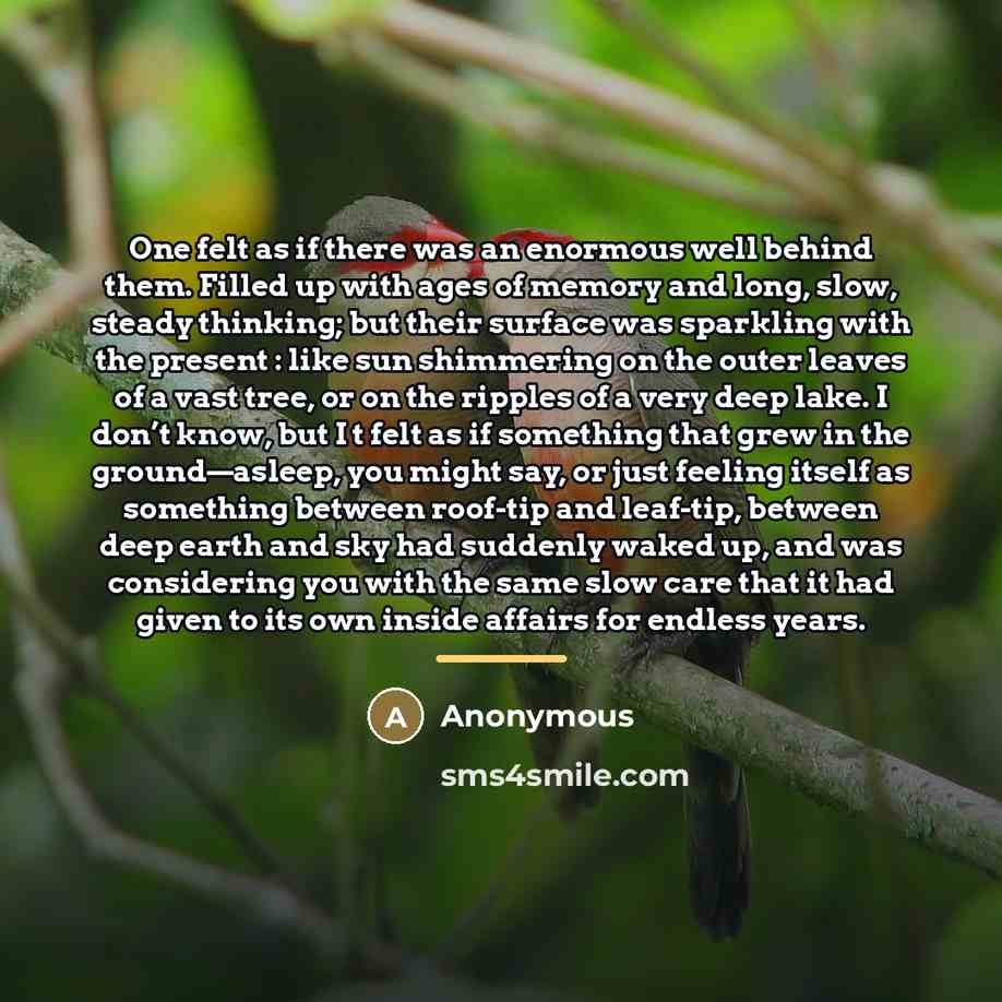 “One felt as if there was an enormous well behind…” quote by Anonymous