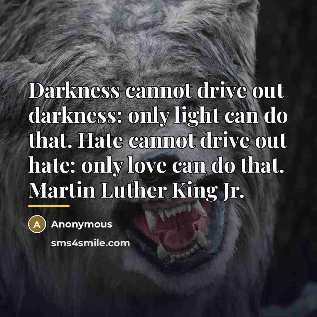 “Darkness cannot drive out darkness: only light can do that.…” quote by Anonymous