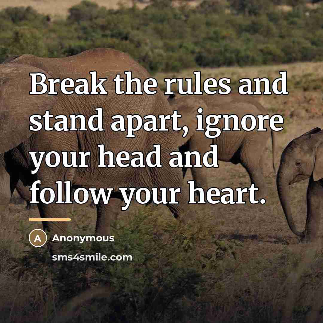 “Break the rules and stand apart, ignore your head and…” quote by Anonymous