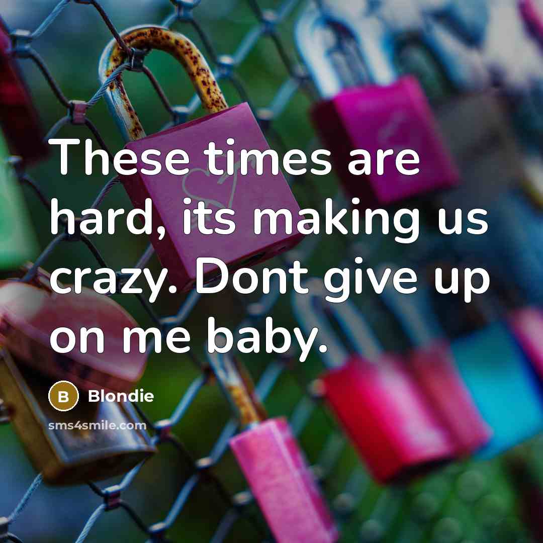 “These times are hard, its making us crazy. Dont give up on me baby.” quote by Blondie
