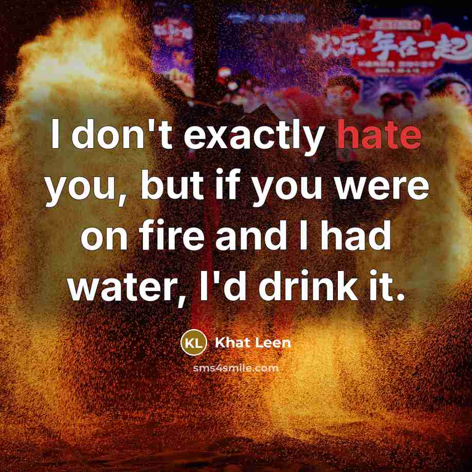“I don't exactly hate you, but if you were on…” quote by Khat Leen