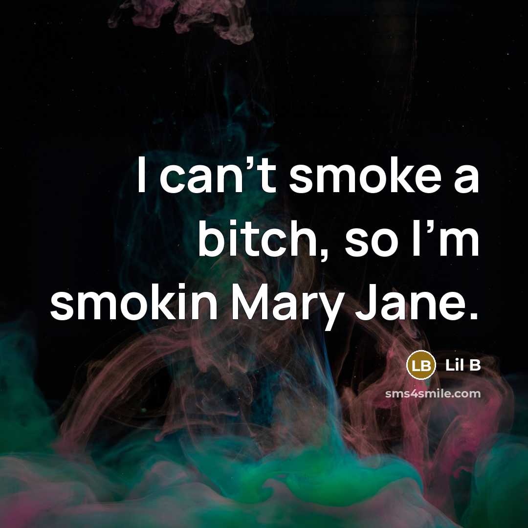 “I can't smoke a bitch, so I'm smokin Mary Jane.” quote by Lil B