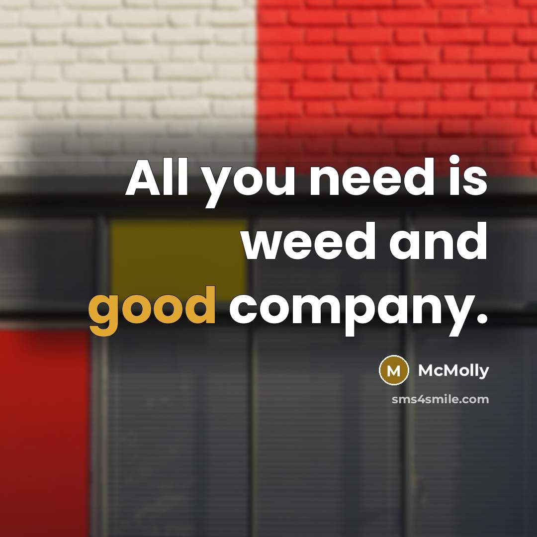 “All you need is weed and good company.” quote by McMolly