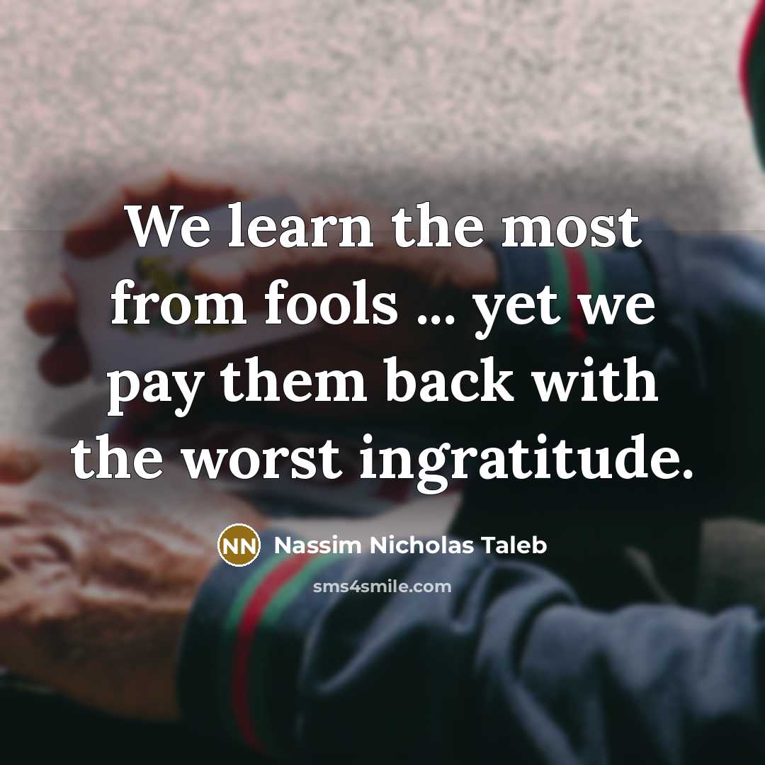 “We learn the most from fools ... yet we pay…” quote by Nassim Nicholas Taleb