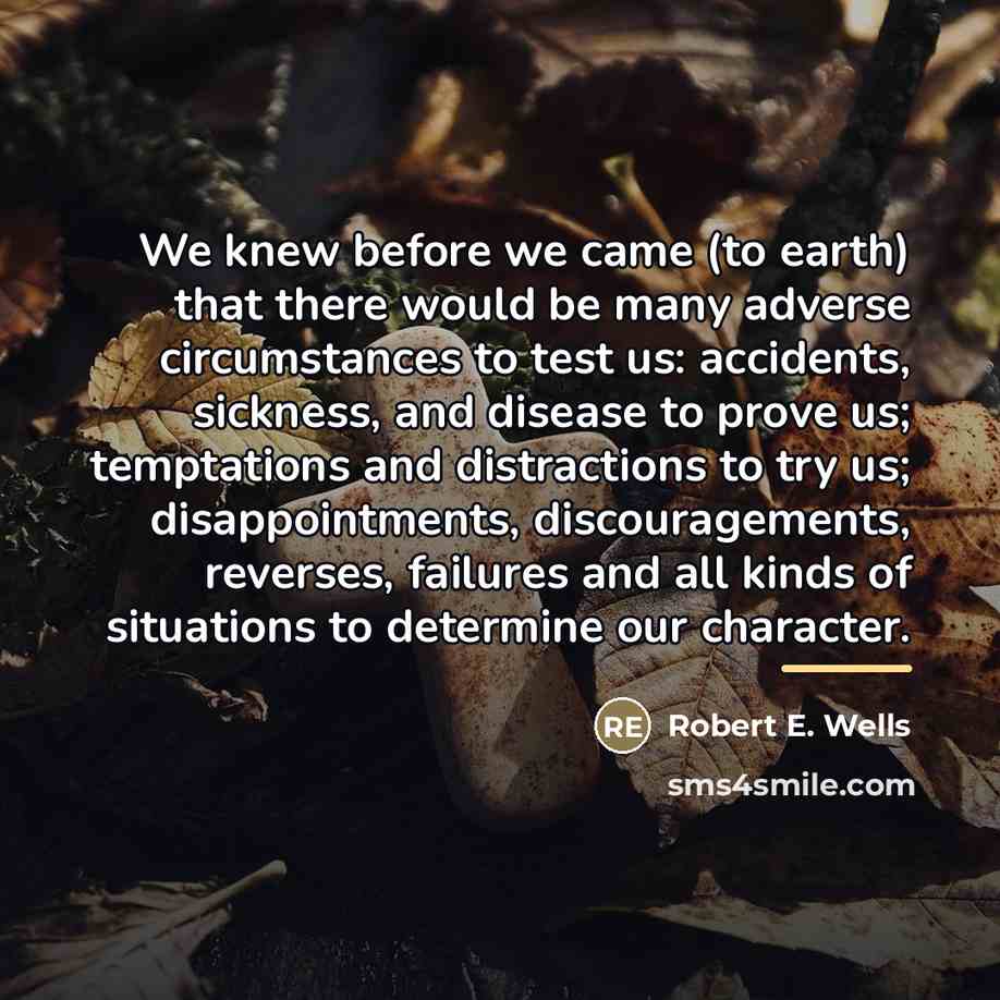 “We knew before we came (to earth) that there would…” quote by Robert E. Wells