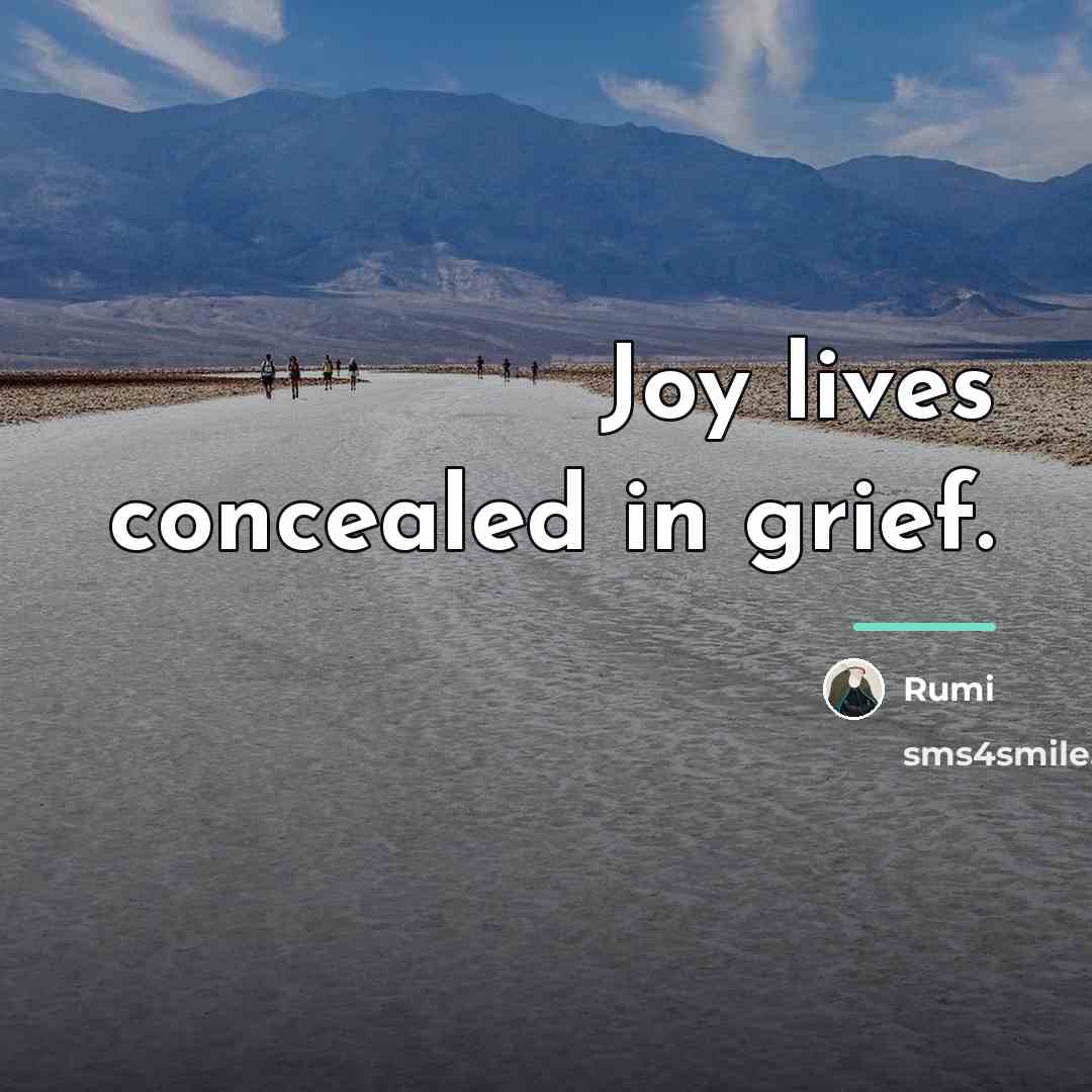 “Joy lives concealed in grief.…” quote by Rumi