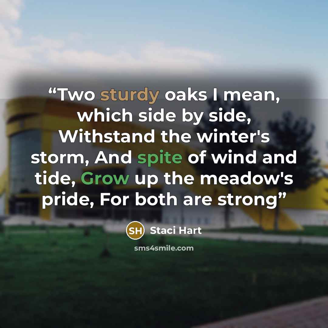 “Two sturdy oaks I mean, which side by side, Withstand the winter's storm, And spite of wind and tide, Grow up the meadow's pride, For both are strong” quote by Staci Hart