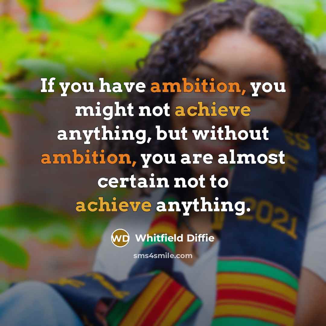 “If you have ambition, you might not achieve anything, but…” quote by Whitfield Diffie