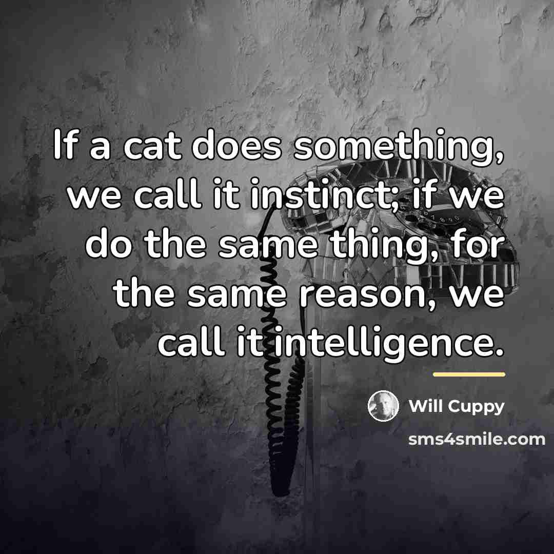 “If a cat does something, we call it instinct; if…” quote by Will Cuppy