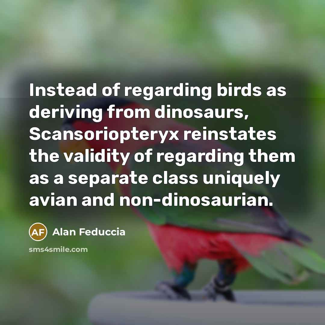 “Instead of regarding birds as deriving from dinosaurs, Scansoriopteryx reinstates…” quote by Alan Feduccia