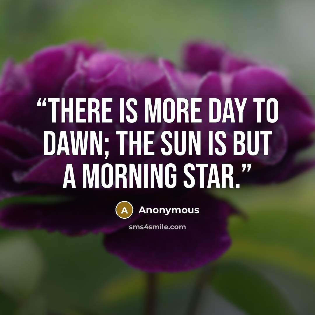“There is more day to dawn; the sun is but a morning star.” quote by Anonymous