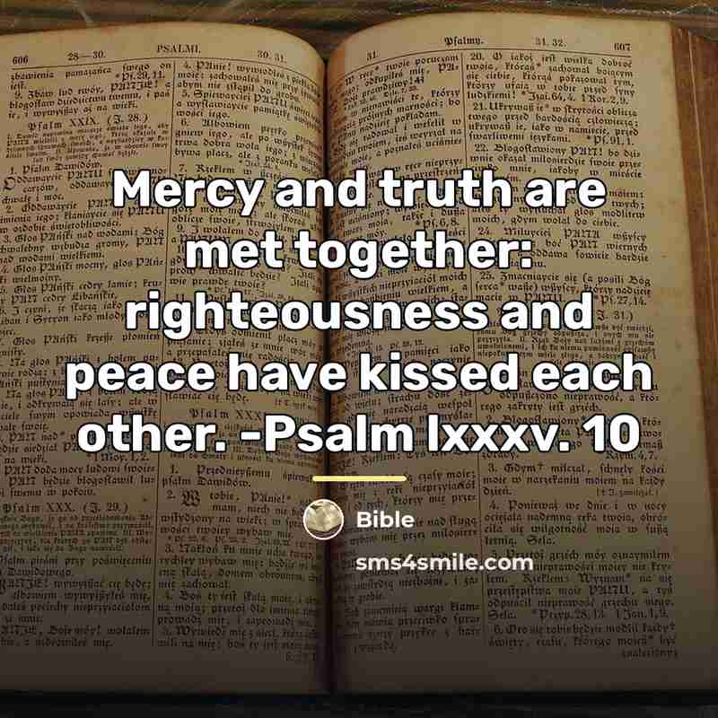 “Mercy and truth are met together: righteousness and peace have…” quote by Bible