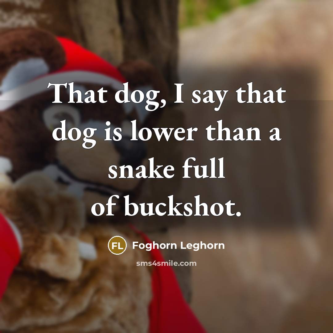 “That dog, I say that dog is lower than a snake full of buckshot.” quote by Foghorn Leghorn