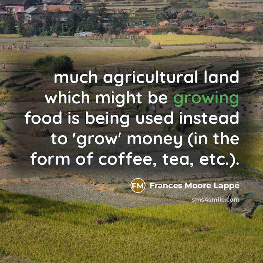 “much agricultural land which might be growing food is being…” quote by Frances Moore Lappé