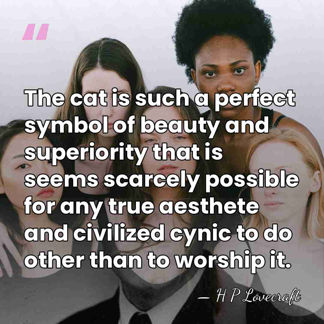 The cat is such a perfect symbol of beauty and superiority that&hellip; - H P Lovecraft