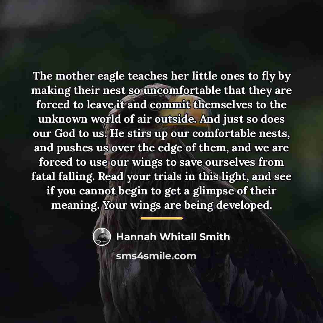 “The mother eagle teaches her little ones to fly by…” quote by Hannah Whitall Smith