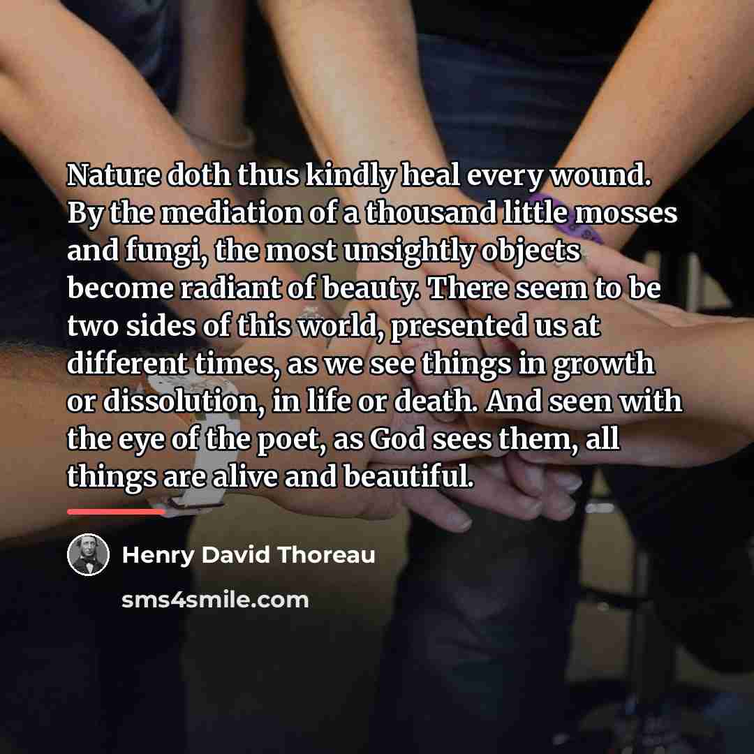 “Nature doth thus kindly heal every wound. By the mediation…” quote by Henry David Thoreau