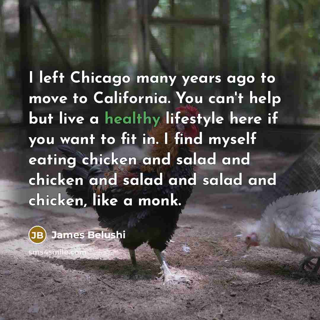 “I left Chicago many years ago to move to California.…” quote by James Belushi