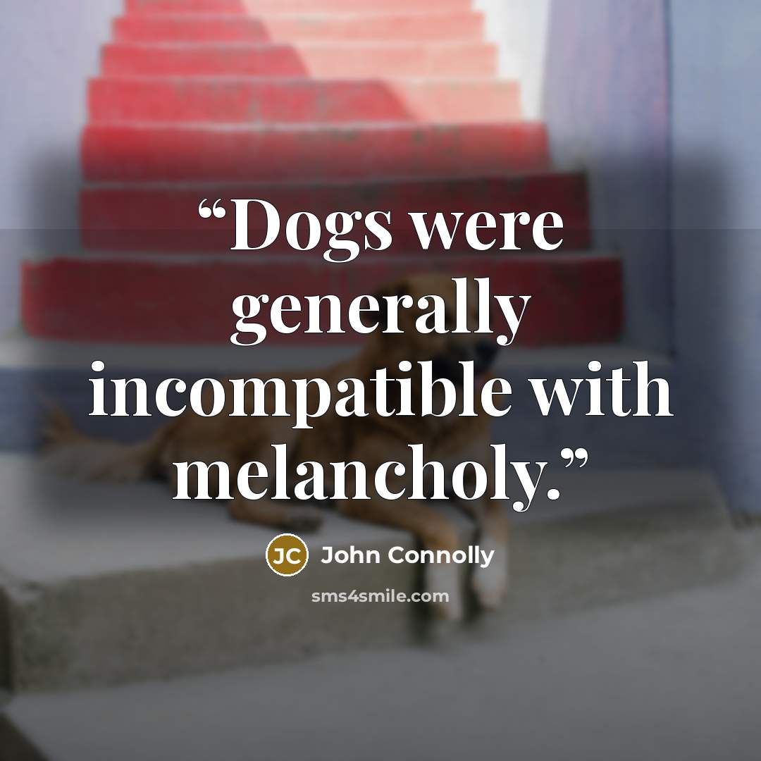 “Dogs were generally incompatible with melancholy.” quote by John Connolly