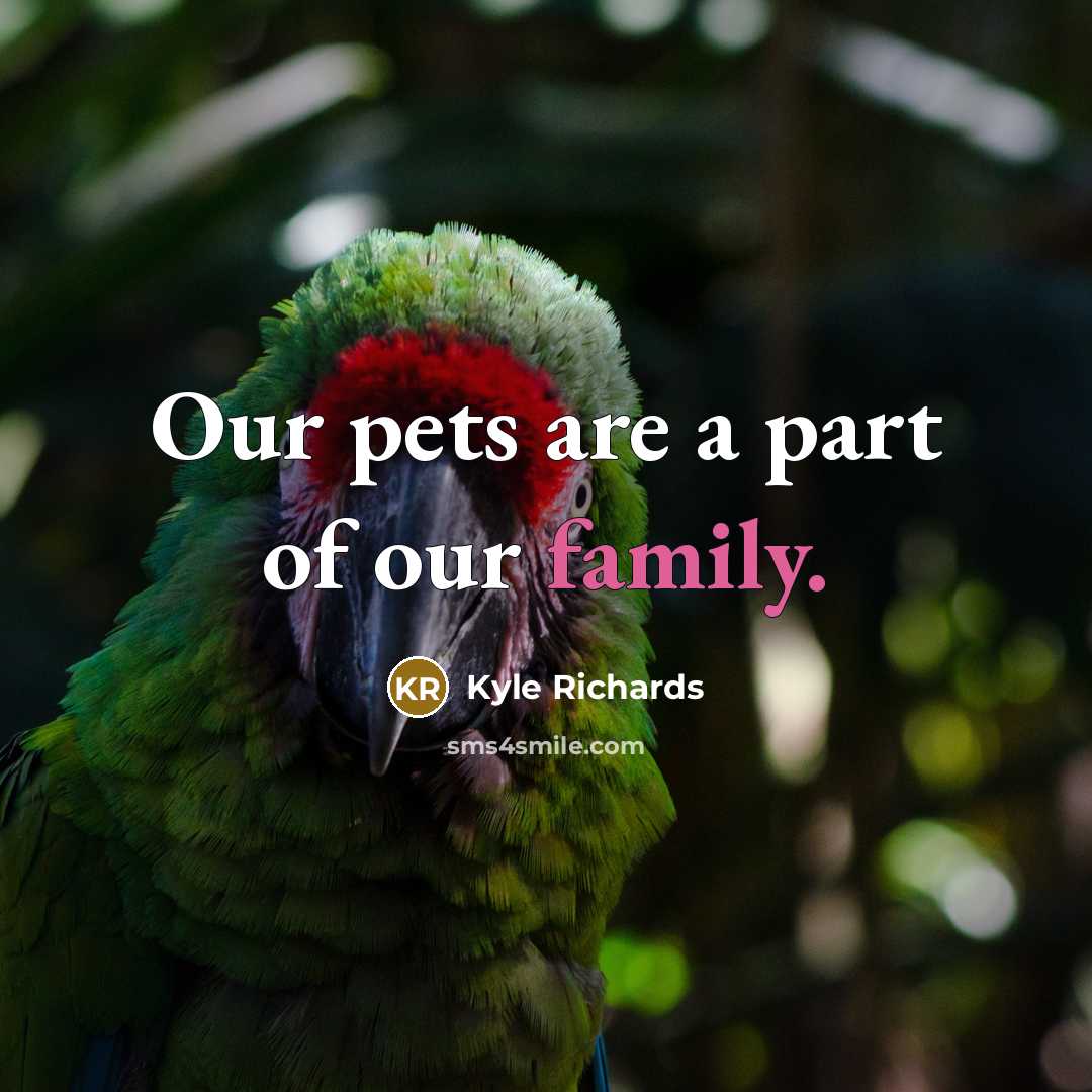 “Our pets are a part of our family.” quote by Kyle Richards
