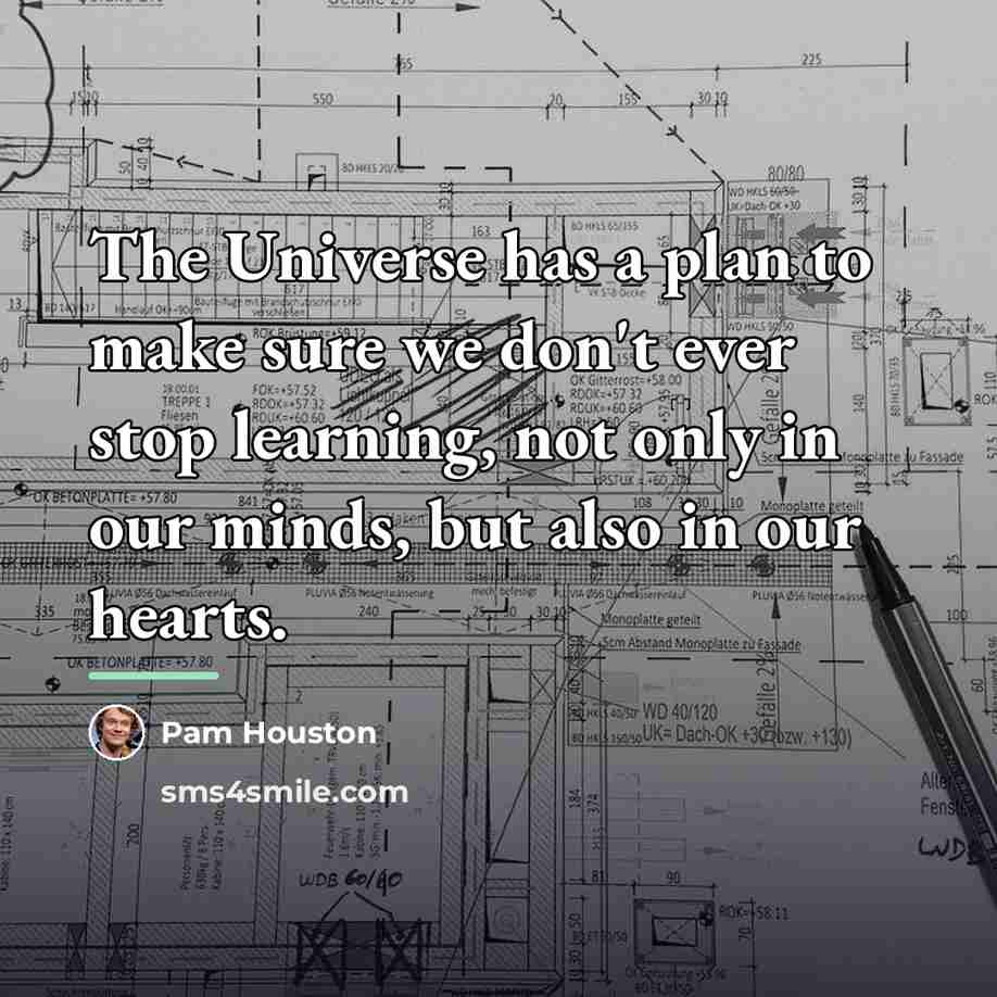 “The Universe has a plan to make sure we don't…” quote by Pam Houston