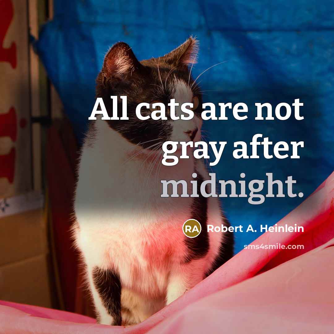 “All cats are not gray after midnight.…” quote by Robert A. Heinlein