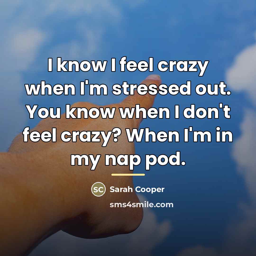 “I know I feel crazy when I'm stressed out. You…” quote by Sarah Cooper