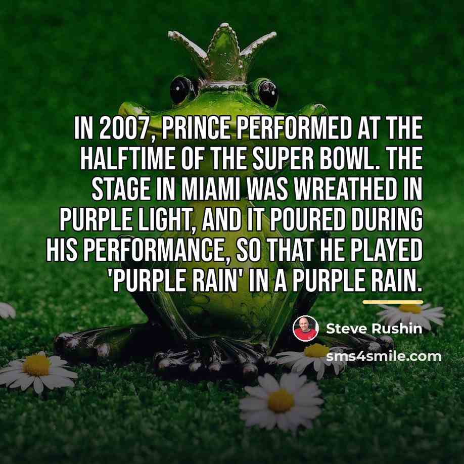 “In 2007, Prince performed at the halftime of the Super…” quote by Steve Rushin