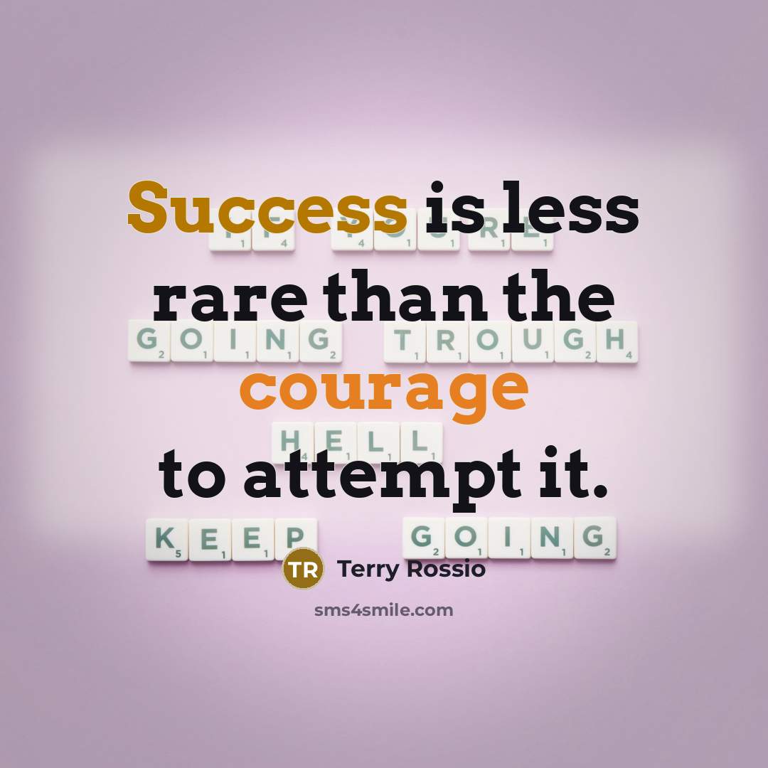 “Success is less rare than the courage to attempt it.” quote by Terry Rossio