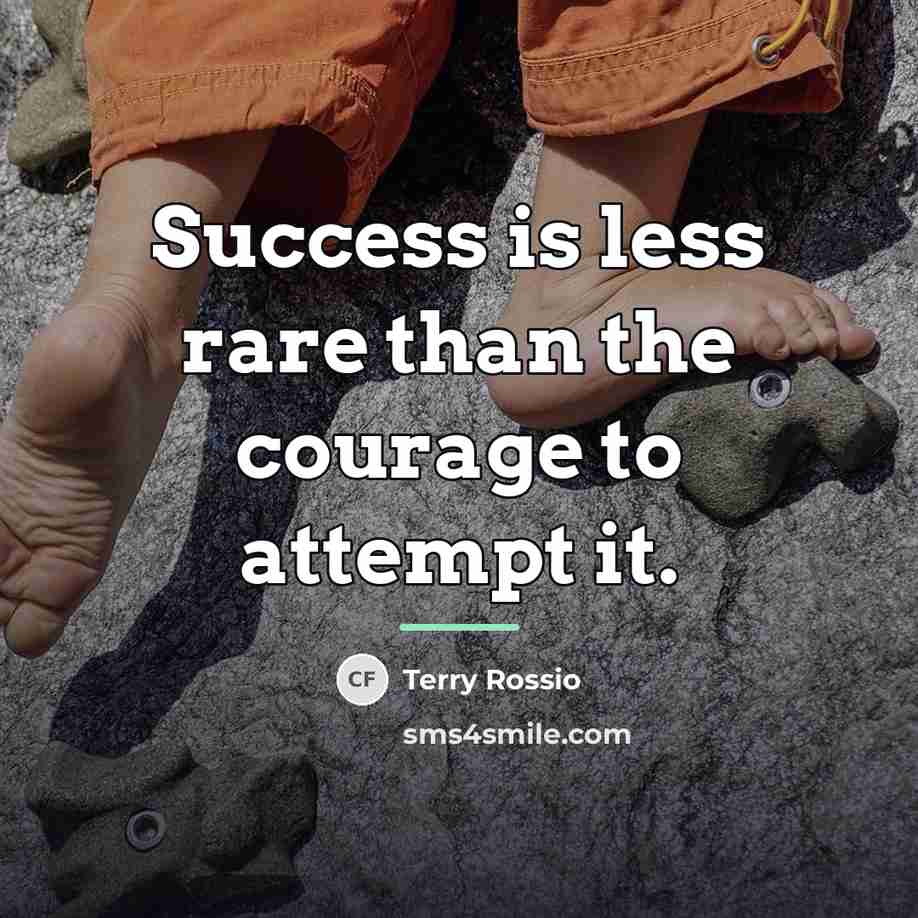 “Success is less rare than the courage to attempt it.…” quote by Terry Rossio