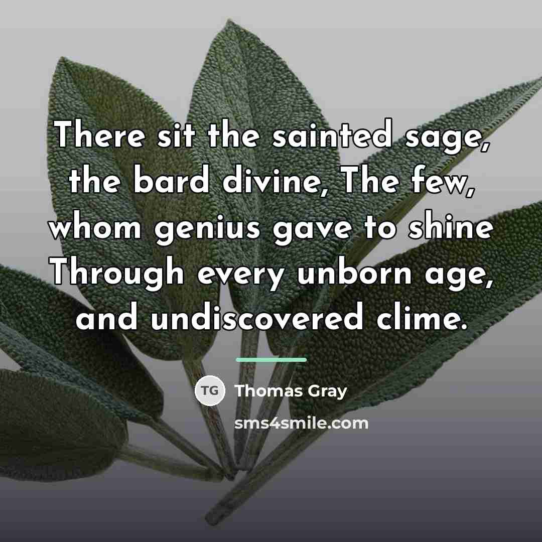 “There sit the sainted sage, the bard divine, The few,…” quote by Thomas Gray