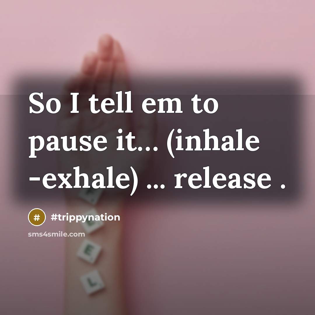 “So I tell em to pause it...... (inhale -exhale) ...…” quote by #trippynation