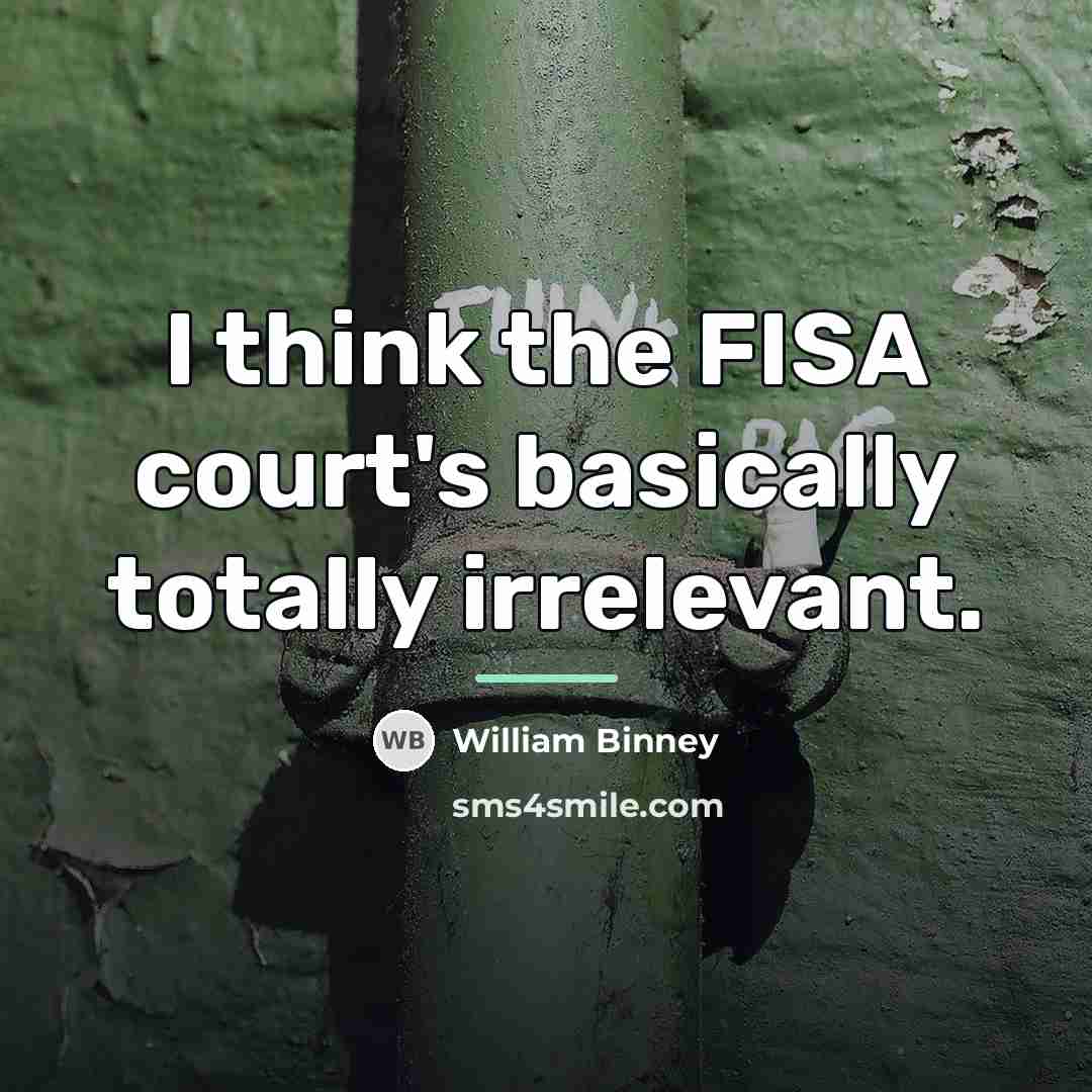 “I think the FISA court's basically totally irrelevant.…” quote by William Binney