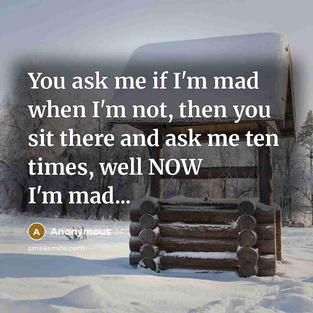 “You ask me if I'm mad when I'm not, then…” quote by Anonymous