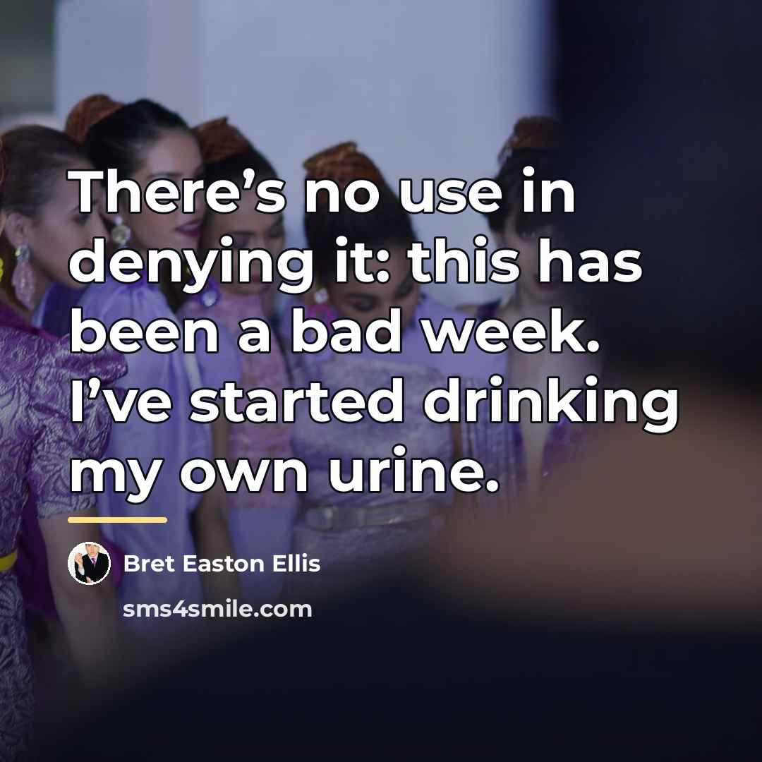“There’s no use in denying it: this has been a…” quote by Bret Easton Ellis