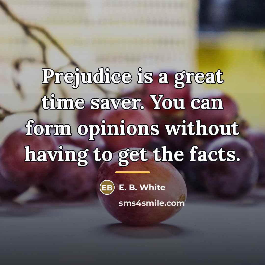 “Prejudice is a great time saver. You can form opinions…” quote by E. B. White