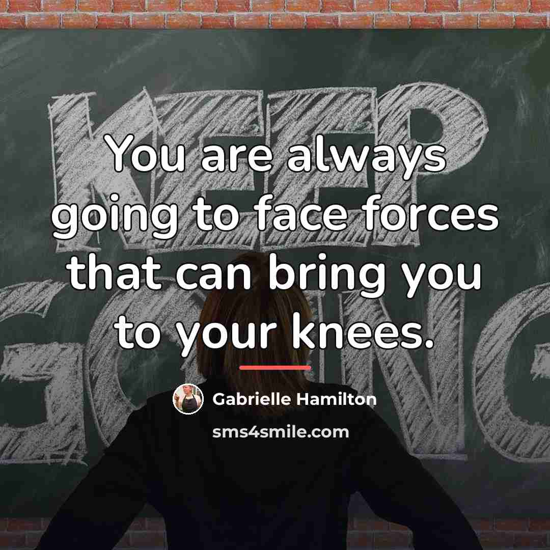 “You are always going to face forces that can bring…” quote by Gabrielle Hamilton