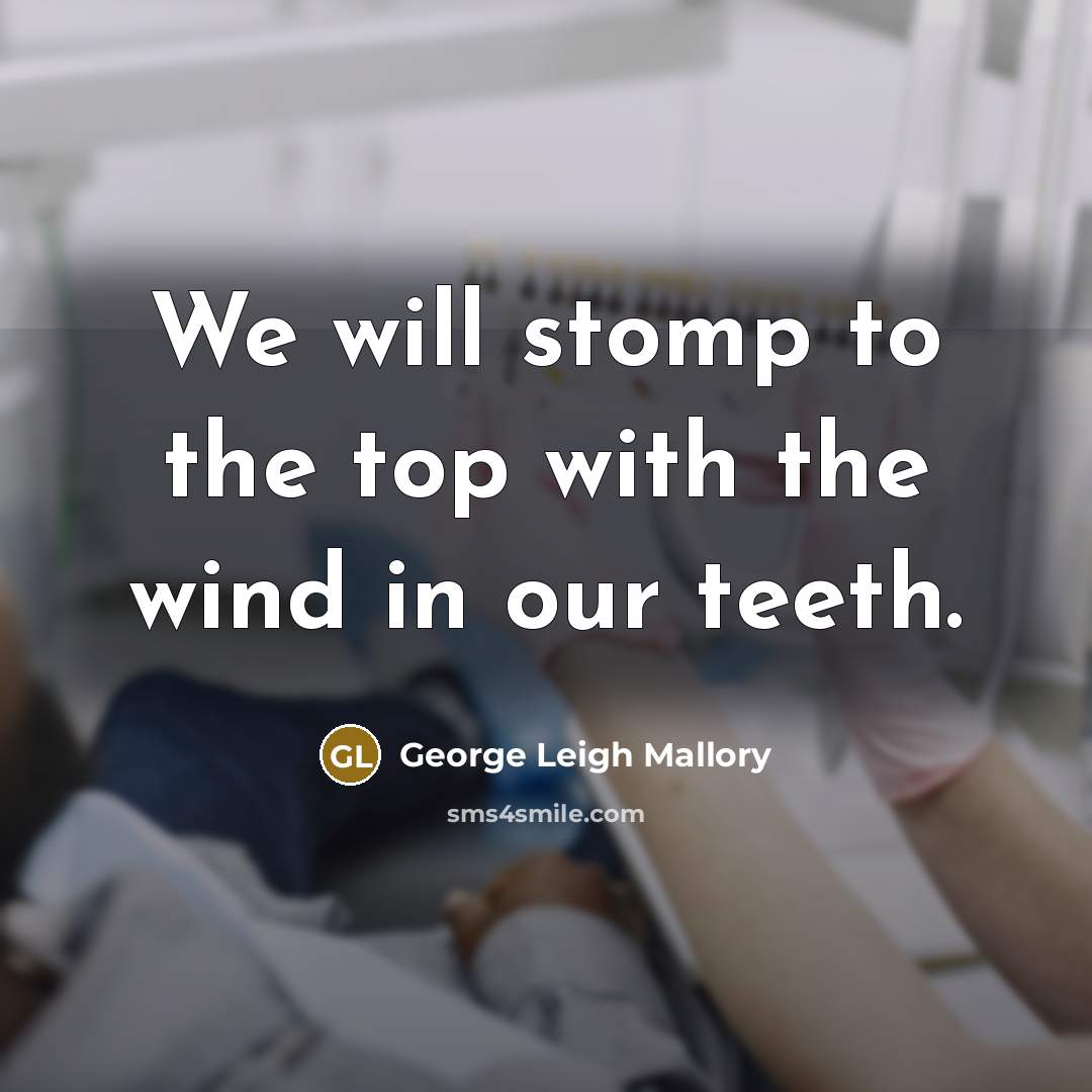 “We will stomp to the top with the wind in our teeth.” quote by George Leigh Mallory