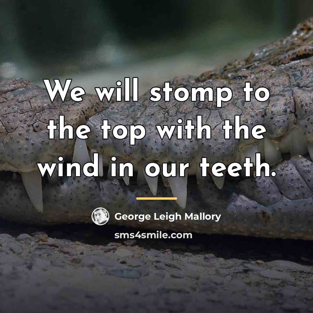 “We will stomp to the top with the wind in…” quote by George Leigh Mallory