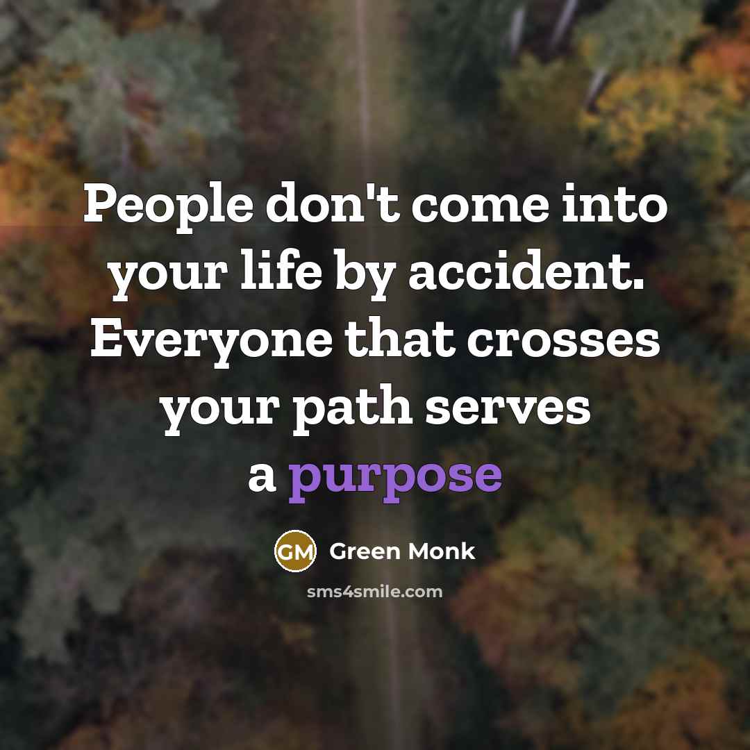 “People don't come into your life by accident. Everyone that…” quote by Green Monk