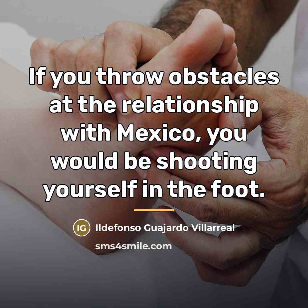 “If you throw obstacles at the relationship with Mexico, you…” quote by Ildefonso Guajardo Villarreal