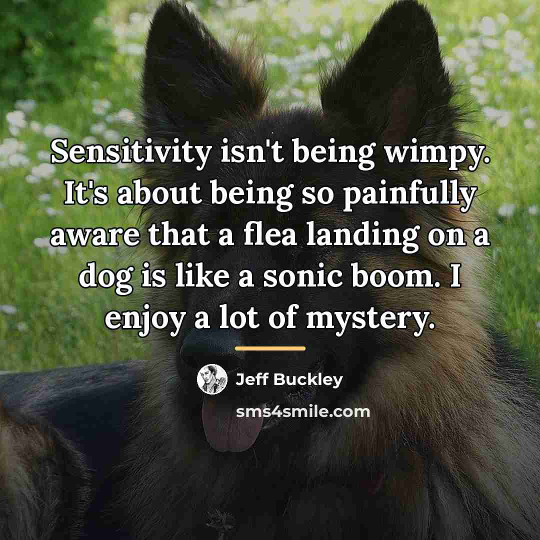 “Sensitivity isn't being wimpy. It's about being so painfully aware…” quote by Jeff Buckley