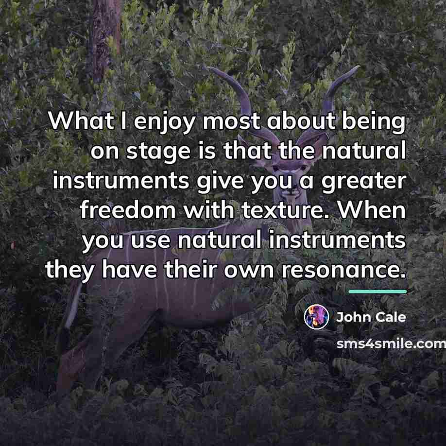 “What I enjoy most about being on stage is that…” quote by John Cale