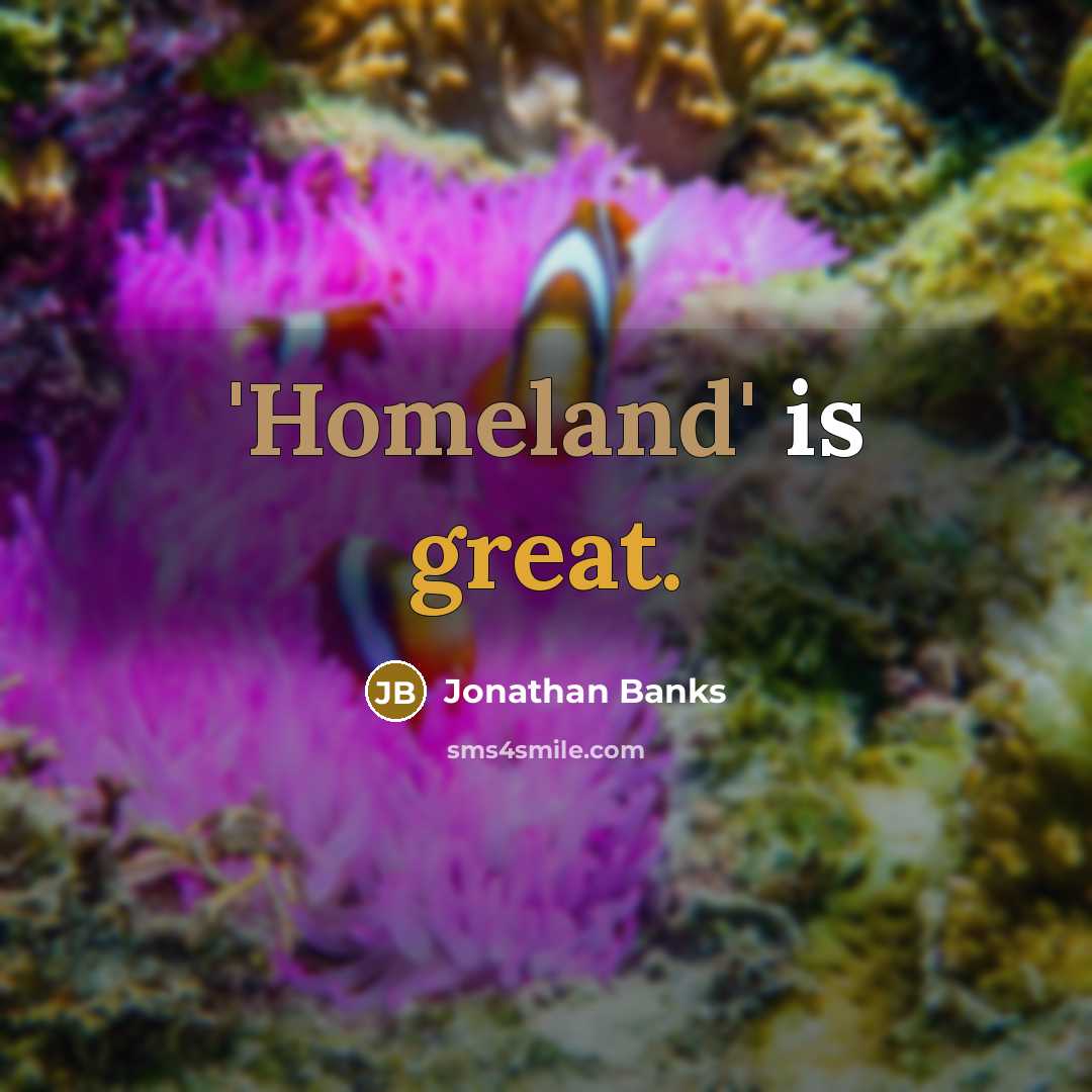 “'Homeland' is great.…” quote by Jonathan Banks