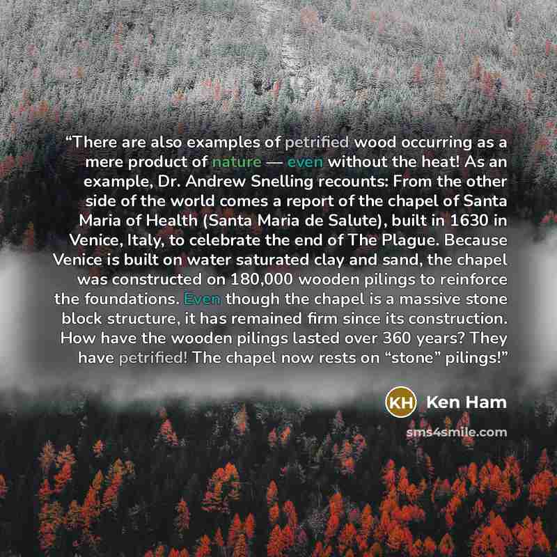 “There are also examples of petrified wood occurring as a mere product of nature — even without the heat! As an example, Dr. Andrew Snelling recounts: From the other side of the world comes a report of the chapel of Santa Maria of Health (Santa Maria de Salute), built in 1630 in Venice, Italy, to…” quote by Ken Ham