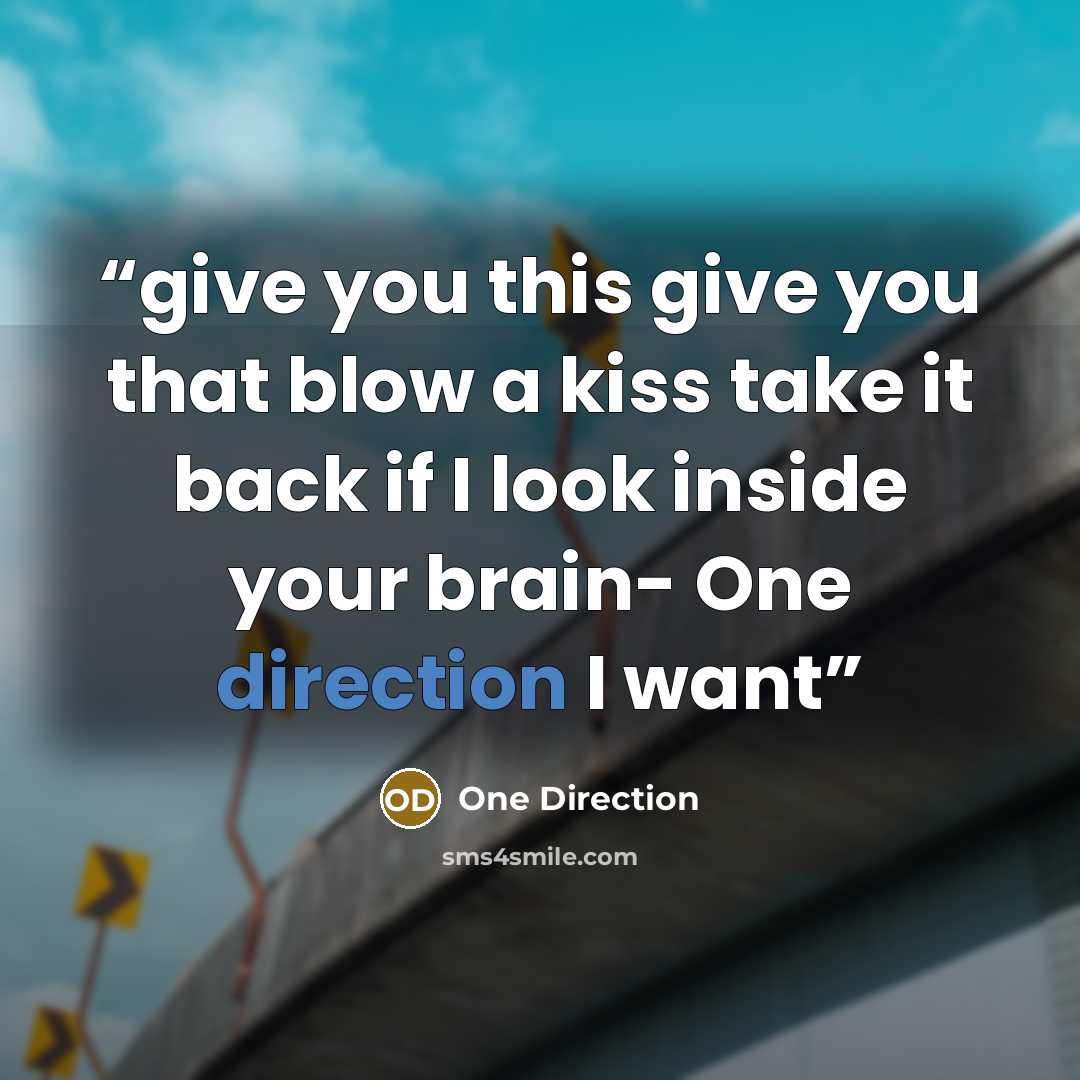 “give you this give you that blow a kiss take it back if I look inside your brain- One direction I want” quote by one direction