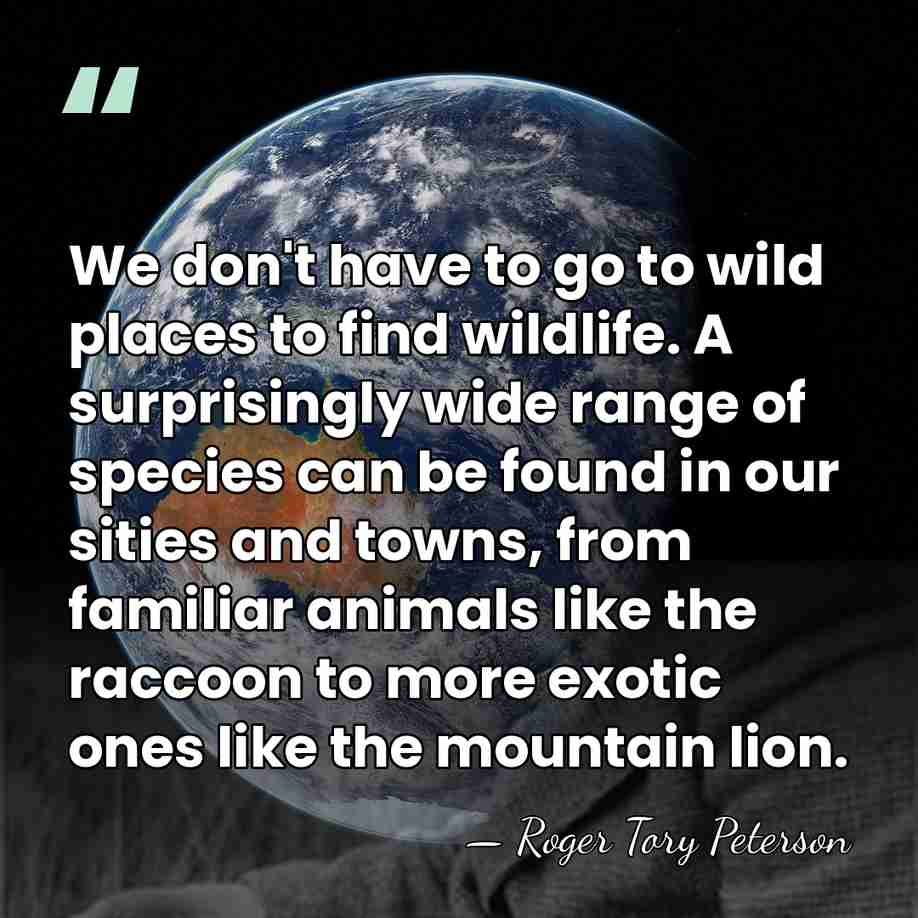 We don't have to go to wild places to find wildlife. A&hellip; - Roger Tory Peterson