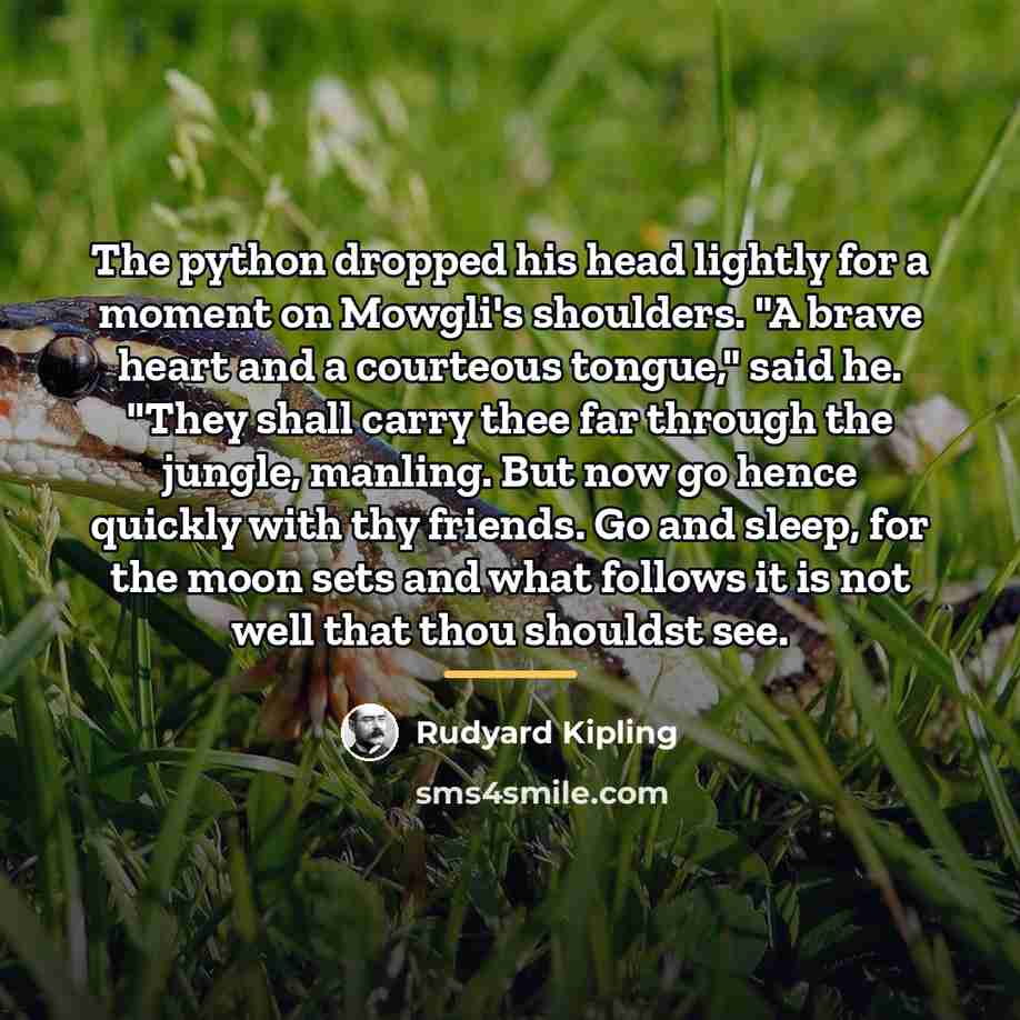 “The python dropped his head lightly for a moment on…” quote by Rudyard Kipling